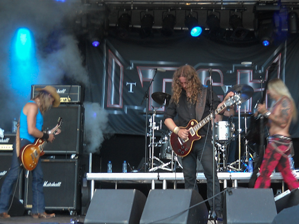 Rockviken 2013