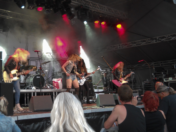 Rockviken 2013