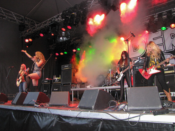 Rockviken 2013